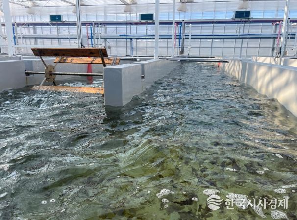 육상 김 양식(수로형 트랙 수조)
