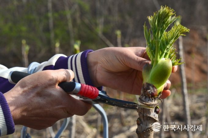 2025년도 임업·산림 공익직접지불금 지급