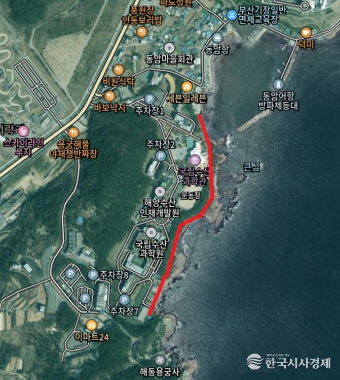 , 새해 해맞이 ‘갈맷길 해안로’ 일부 통제