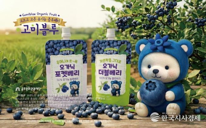 수출용 농산물_고미블루베리 수출상품 패키지