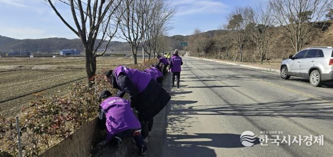 홍가시나무 월동 준비를 하는 대술면 주민자치위원회 위원들