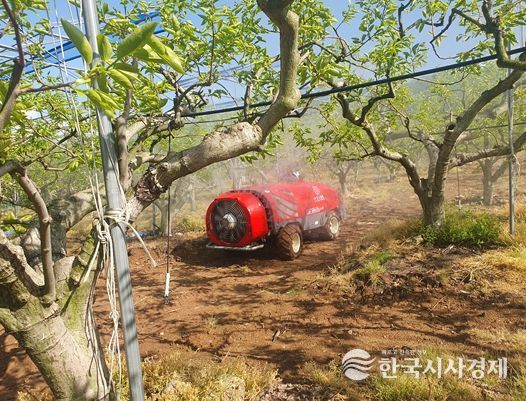 김해시, 단감 탄저병·돌발해충 방제 지원사업