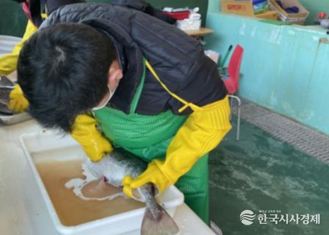 대구 채란 및 인공수정