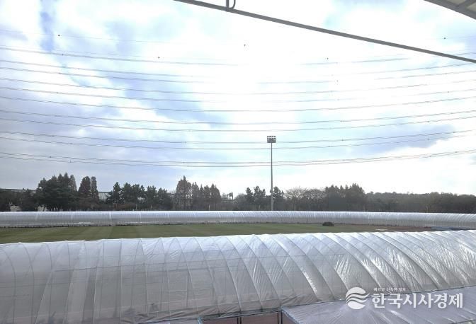 시흥도시공사, 동절기 육상경기장 비닐온실 트랙 시민 개방시간 확대