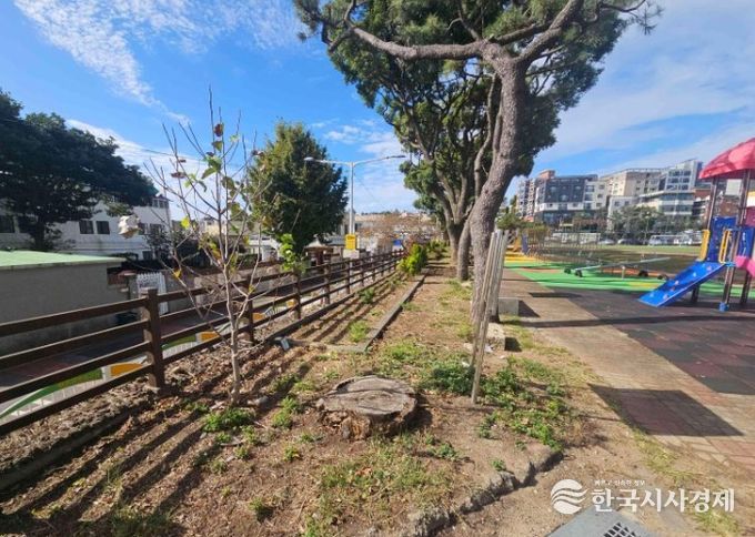 서귀포초등학교