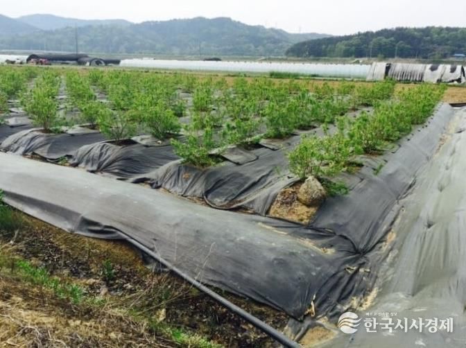 파주시, 2026년 환경친화형 농자재 지원사업 신청 시작