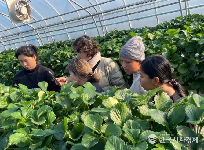 완주군, 외국인 계절근로자 현장 지원 총력