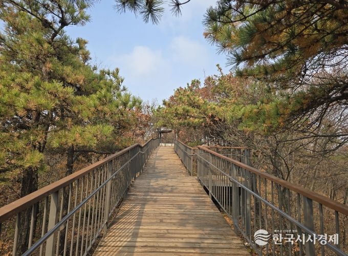 산림형 무장애나눔길 완성