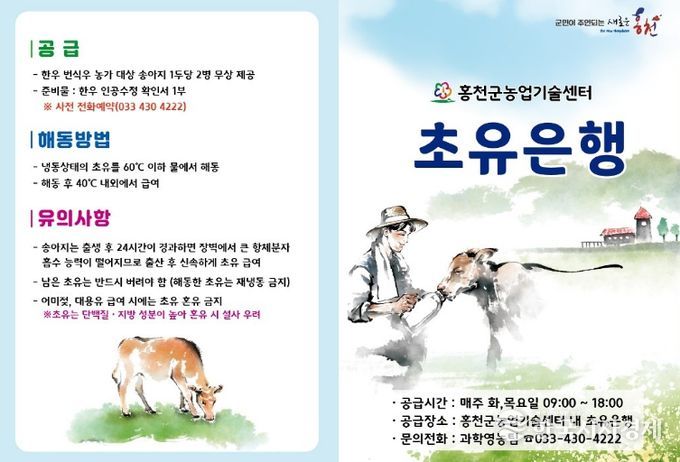 초유은행 리플렛