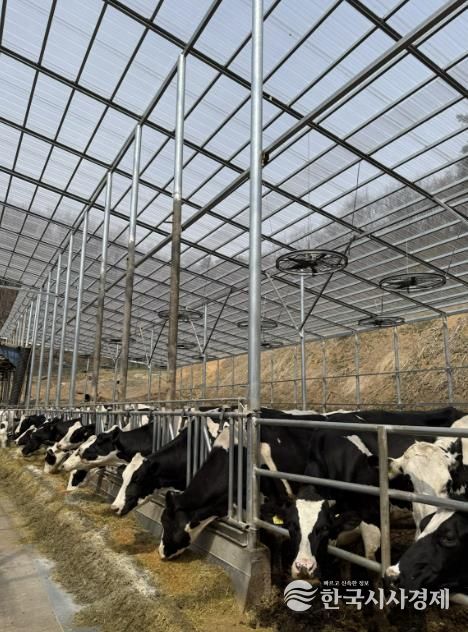 용인트례시가 '2026년 축산분야 생산지원사업' 희망 농가를 모집한다