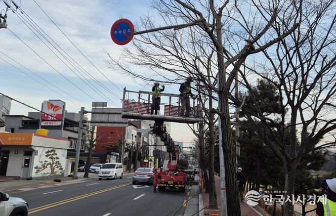 진주시, 가로수·녹지대 조경수 전정작업 실시