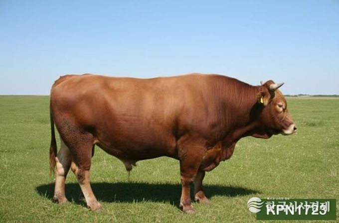 보증씨수소 KPN1723