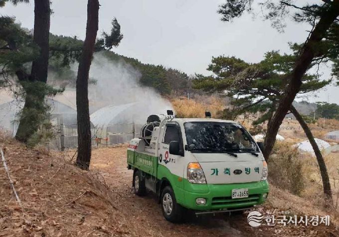 옹진군, 가축전염병 차단방역 추진