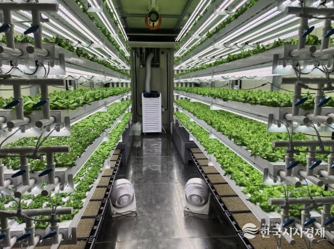 테이너형 수직농장 내부