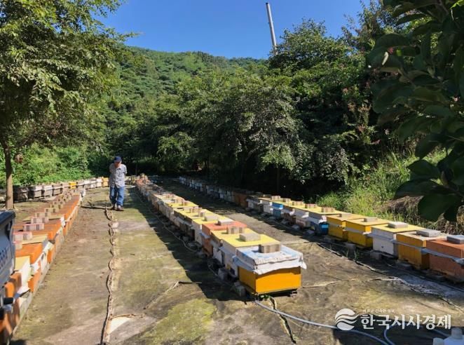 남원시, 양봉산업 활성화를 위한 기자재 지원사업 추진