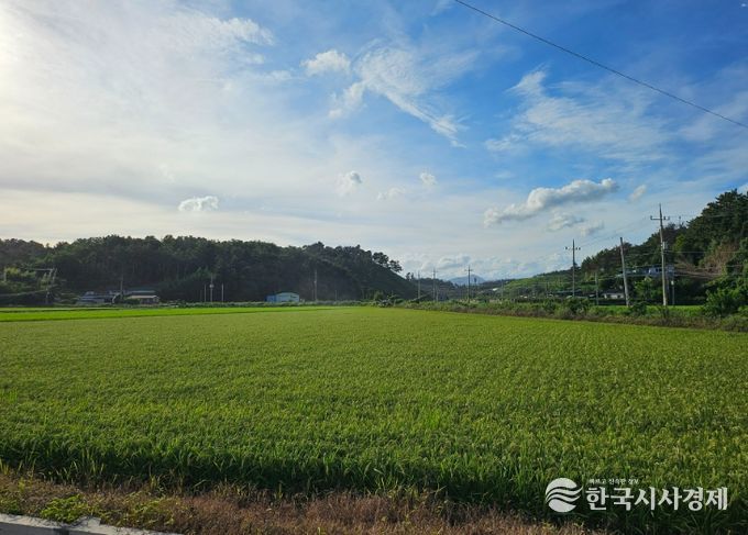사천시, 벼 육묘상자처리제 지원으로 초기 벼 병해충 예방 강화