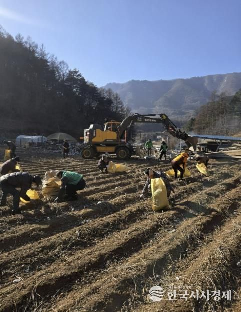 화재 폐기물 수거 봉사활동