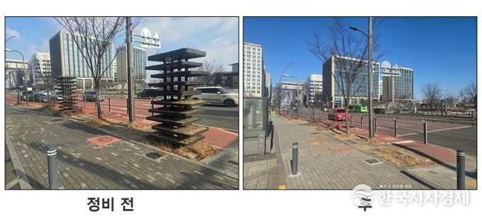 세덤트리 철거(마곡타루역).