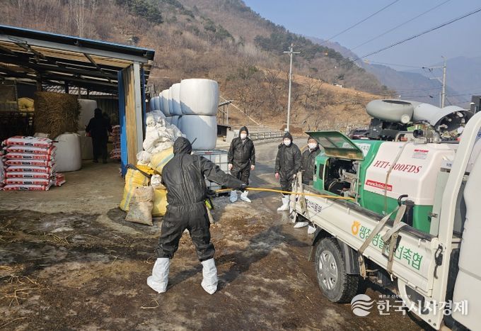 정선군, 설 연휴 대비 가축전염병 차단 합동 특별방역 추진