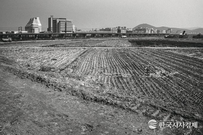 1995년도 고잔뜰 전경, 현재는 고잔신도시가 조성되어 아파트 단지로 변모했다.