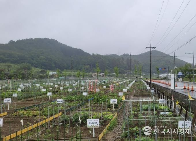 진주시, 도심 속 농업체험장‘시민 텃밭’분양 성황리 마감