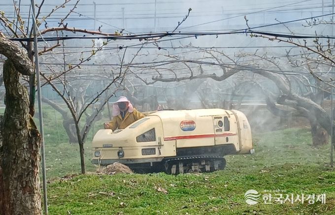 월동 병해충 방제, 올해는 서둘러야