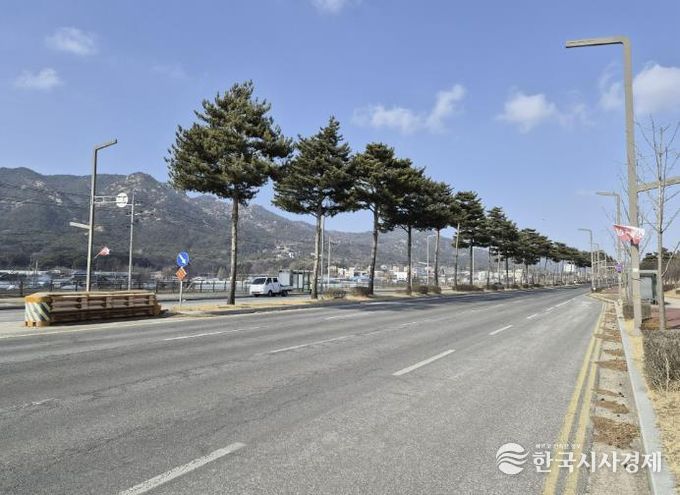 홍성군 내포신도시 관문 '도청대로' 장송 전정