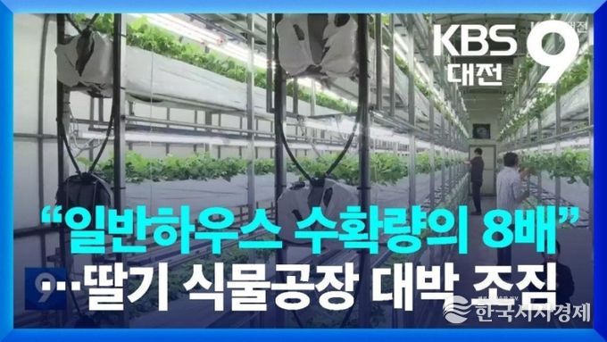 딸기 식물공장 프로젝트 본격 추진