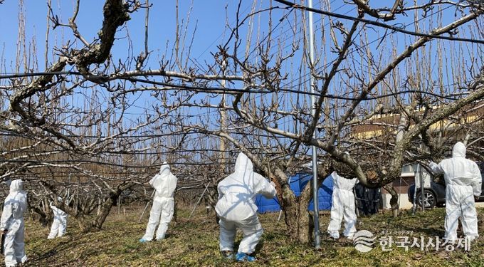 병해충 방제 약제 지원 신청 접수