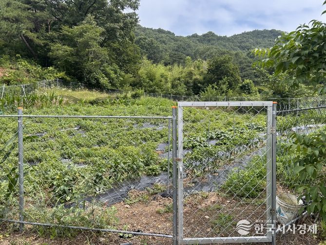 철망 울타리가 설치된 농지