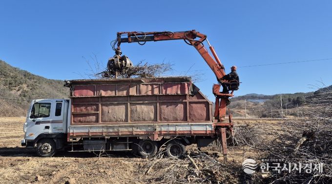 영양군 과수 전정목, 무료 수거 처리합니다.