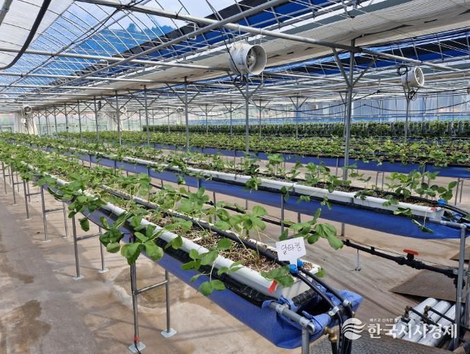 스마트농업 테스트베드