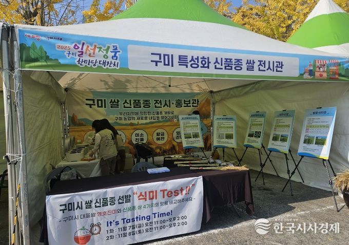 계통선발전시및맛테스트