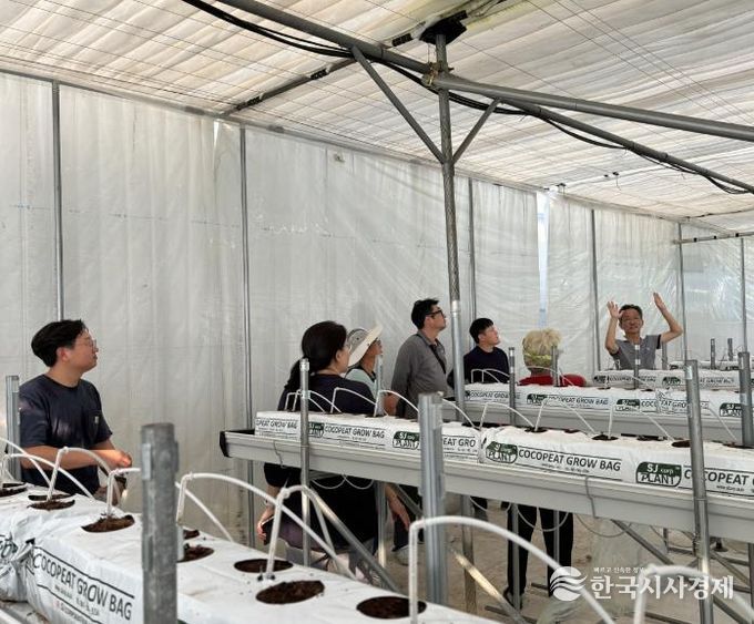 천안시농업기술센터가 스마트팜 운영 현장에서 컨설팅을 진행하고 있다.