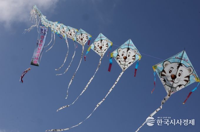 제42회 줄포 전국 민속연날리기 대회’