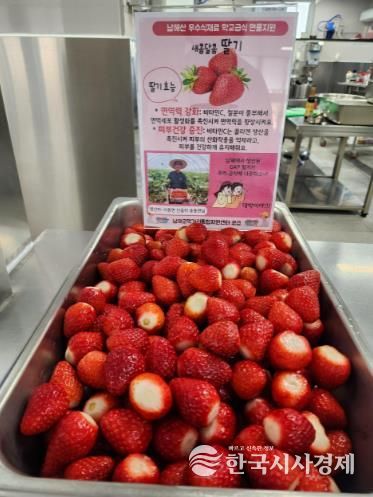 남해군, 남해산 GAP 딸기 학교급식 현물 지원