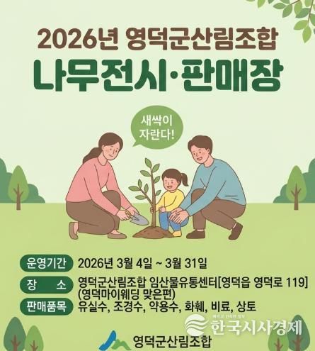 나무시장 팜플렛 사진