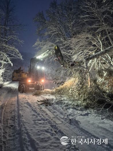 평창군, 대관령 39.2cm 폭설 완벽 대응