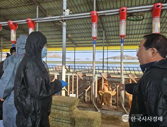 상반기 구제역백신 일제접종 독려
