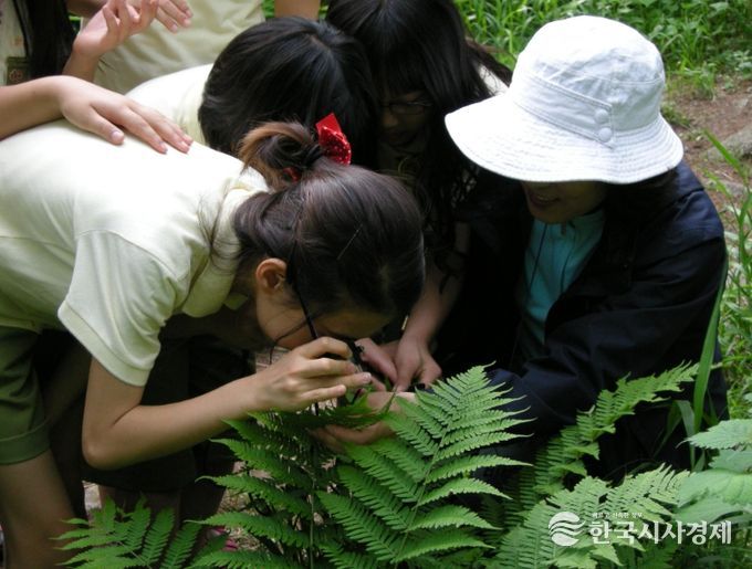 국립횡성숲체원-원주진로지원센터 연계, 진로·환경교육 캠프