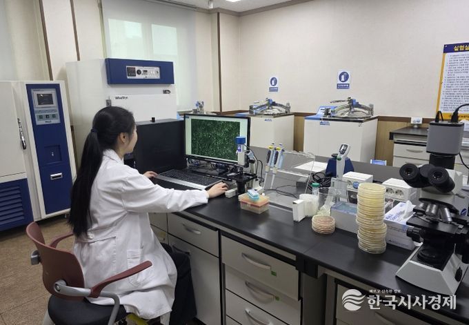 ‘탄저병’예방을 위한 특허 미생물 GH1-13 공급!