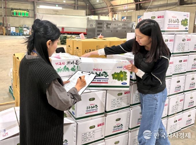 “봄나물 안심하고 드세요” 전북보건환경연구원, 봄동 등 봄나물 집중 검사 실시