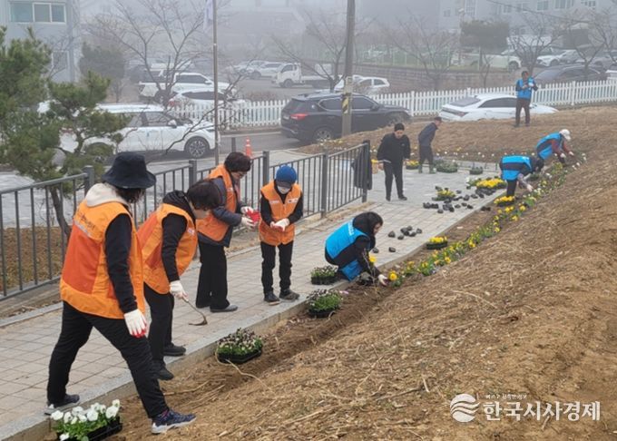 비전2동 2026년 새봄맞이 봄꽃 심기