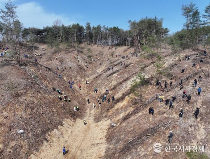 안동시, 제81회 식목일 기념 나무심기 행사 개최