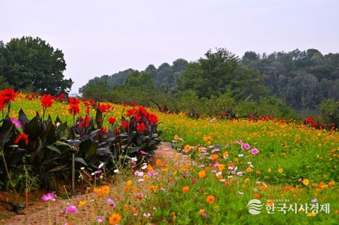 꽃바람정원·용안생태습지 등 대규모 꽃단지 조성