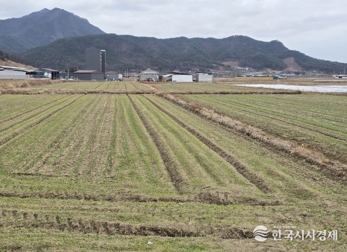 봄철 맥류 관리 ‘골든타임’…구미시, 현장 기술지원 강화배수로