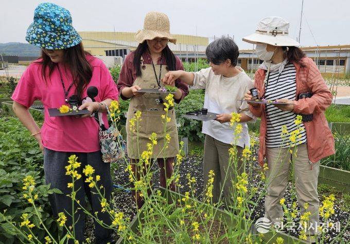 남동구, 초록빛‘도시농업’으로 숨 쉬다