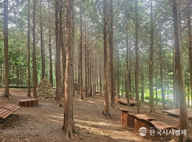 ‘지붕 없는 미술관’ 고흥으로 떠나는 봄맞이 3색 트레킹 - 팔영산 편백치유의 숲