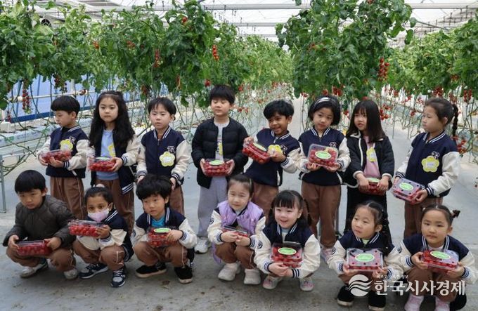 아이들이 월동 초화류와 토마토 따기 체험을 실시하고 있다.