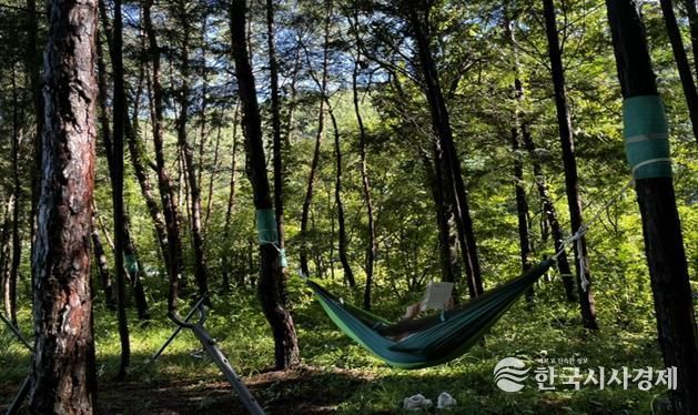 산림치유프로그램 운영 사진. 국립나주숲체원 화순치유의숲 제공